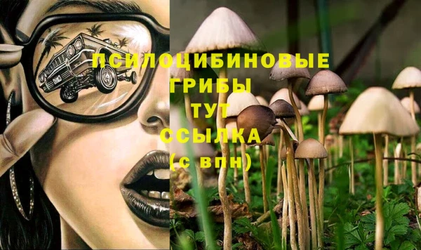 крисы Абинск
