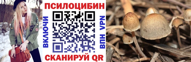 купить Белый Галлюциногенные грибы мухоморы